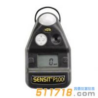 美國SENSIT P100單一氣體檢測儀