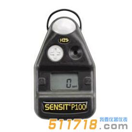 美國(guó)SENSIT P100單一氣體檢測(cè)儀