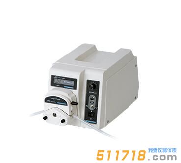 BT300-2J蠕動泵