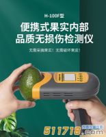 國產(chǎn)H-100F無損檢測(cè)儀