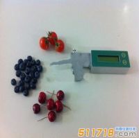 意大利 Fruit Firm Meter手持式無損傷水果硬度計