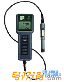 美國YSI 63型酸度、鹽度、電導(dǎo)、溫度測量儀