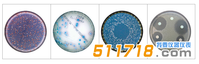 法國interscience Scan 500全自動菌落計數器1.png