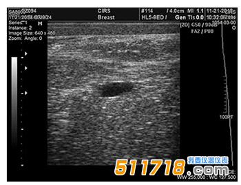 美國CIRS 073多模式乳房活檢和超聲波訓練模體1.png