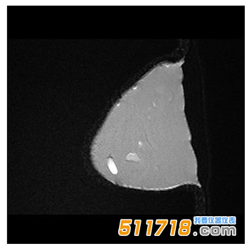 美國CIRS 073多模式乳房活檢和超聲波訓練模體4.png