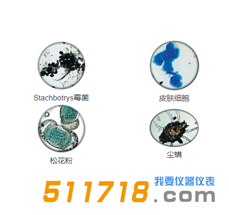 AIR-O-CELL空氣取樣盒收集顆粒物的實例.png