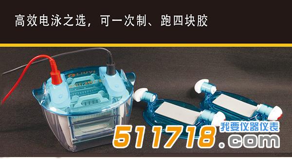 電泳儀.jpg