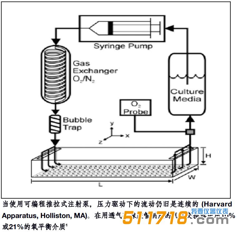 1755502373351940.jpg udrj.jpg